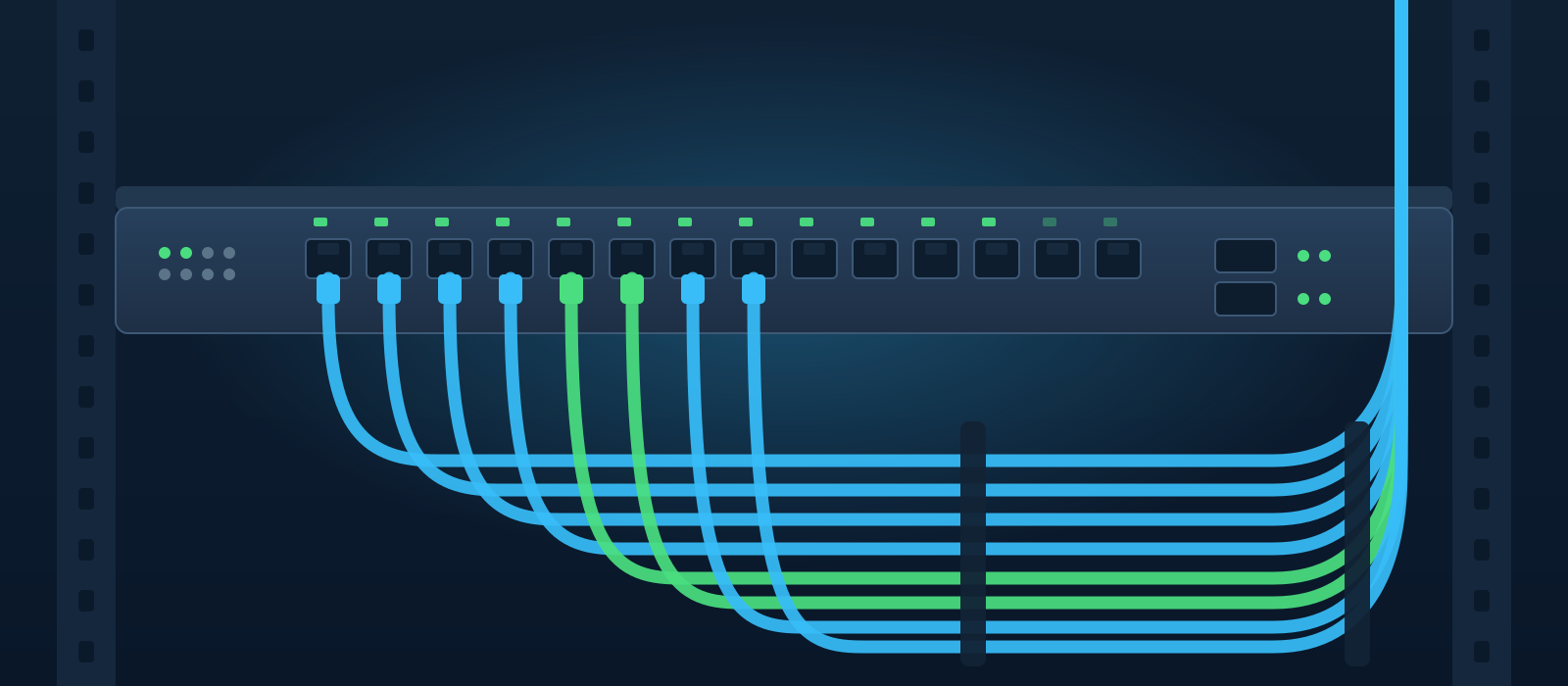 Illustration eines Netzwerk-Switches mit angeschlossenen Patchkabeln